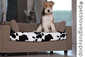 Design dog sofa