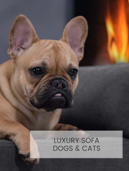 Luxury pet sofa Giusypop
