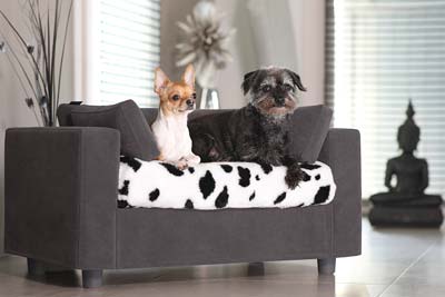 Canapé chiens déhoussable avec protège coussin
