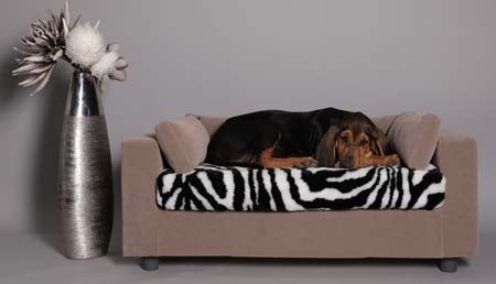 What kind of sofa for your dog or cat?