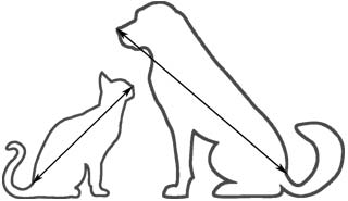 Comment mesurer votre chat ou votre chien pour son canapé Armonia