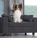 dog sofa comfortable robust design