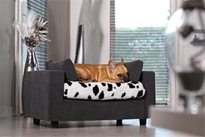Sofa pour chien de luxe