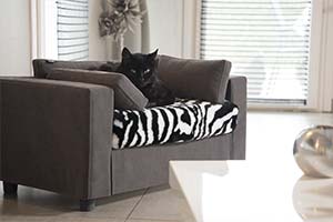 couchage pour chat gris avec couvre matelas en fausse fourrure zèbre en taille S