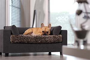 lit luxe chien avec housse amovible