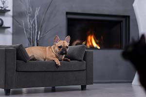 Lit pour chien luxe confort design