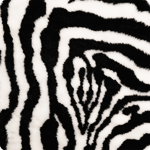 pet plaid zebra