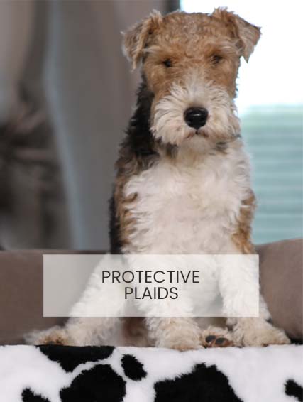 Pet protective plaids - Luxury and comfort