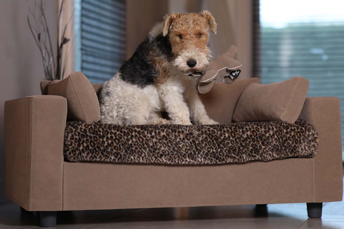 Murrow Large Polyfill Lounger Classic Dog Bed Archie & Oscar Size: 36 W x 27 D x 8 H