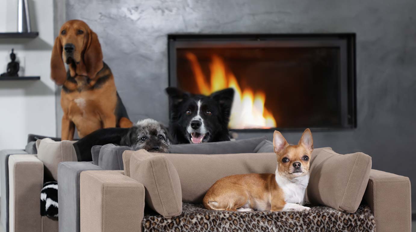 Canapé pour chien de luxe - Original - Design - Confort