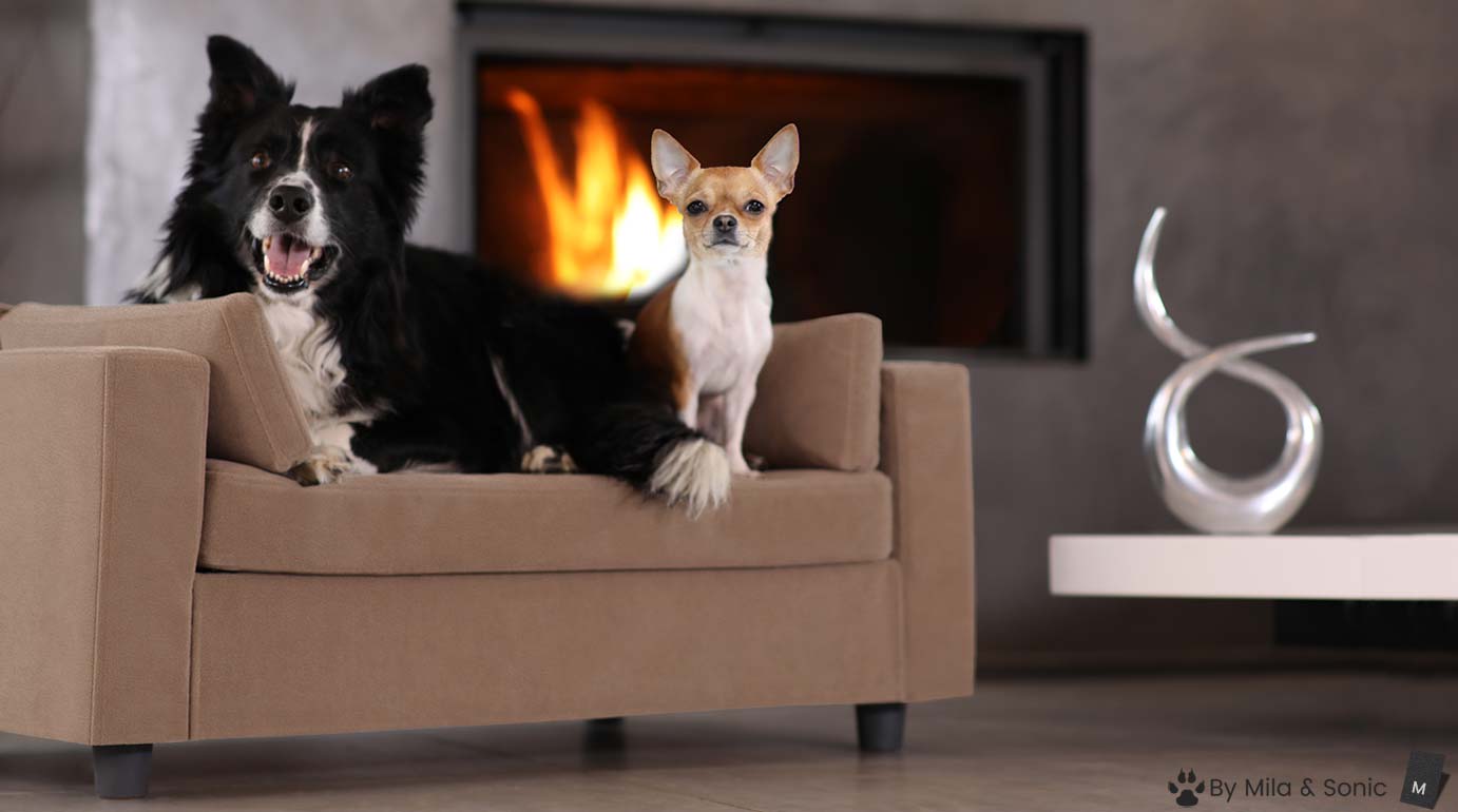 Canapé pour chien de luxe - Original - Design - Confort