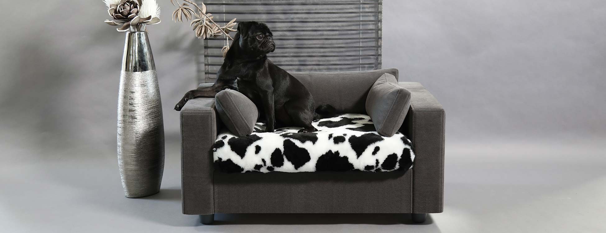Why choose a sofa for your dog or cat